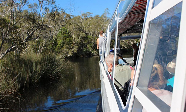 Noosa Everglades Cruise & Highlights Tour Inc. Lunch