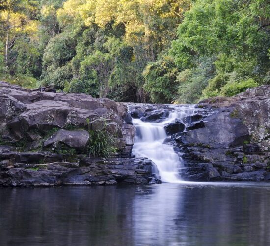 A picturesque waterfall nestled amidst the tranquil forest of the Sunshine Coast.