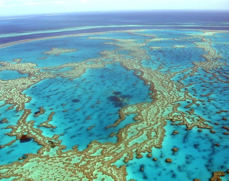 great barrier reef, australia