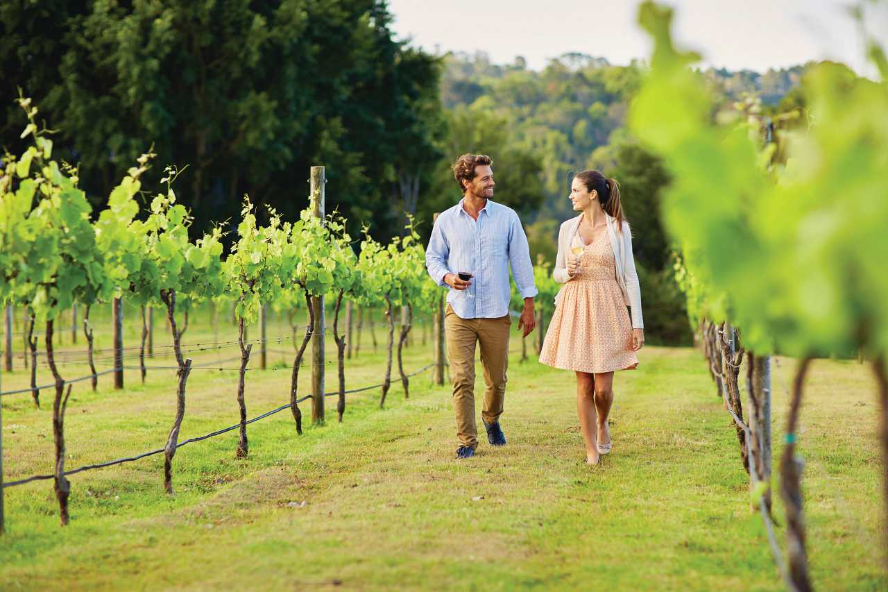 A couple enjoying a relaxing stroll through a picturesque vineyard on a Sunshine Coast day trip.