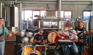 A group of people enjoying live music in a brewery during one of their sunshine coast tours.