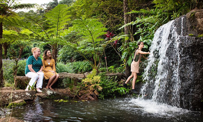 Maleny Day Tour – Botanic Gardens, Rainforest & Lunch
