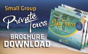 Private Day Tours Sunshine Coast