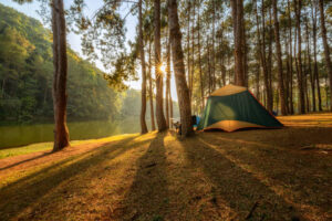 A tent is set up in a Sunshine Coast forest near a lake.