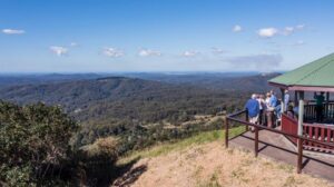 A group of people on a sunshine coast tour standing at the top of a hill, enjoying the breathtaking view of a valley during their sightseeing trip.