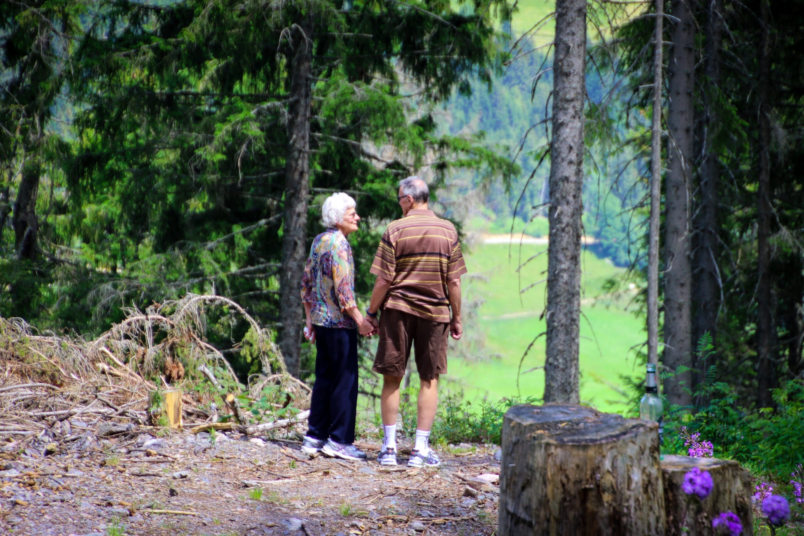 An older couple enjoying a leisurely stroll through a peaceful forest on one of their Sunshine Coast day trips.