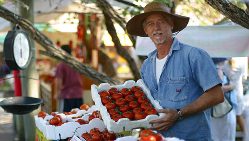 A man in a hat holding a crate of tomatoes during a Sunshine Coast tour.