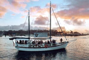 Saltwater Eco tours | Combo Deal Sunshine Coast Things to Do