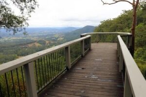 Explore the wooden walkway lined with lush trees during your Sunshine Coast Hinterland day tour.
