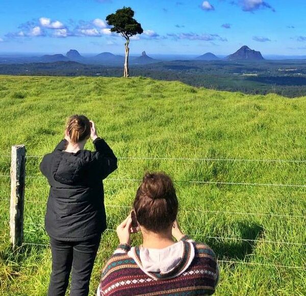Two individuals taking photographs of a scenic landscape with hills and a solitary tree on their Montville Day Tour. Sunshine Coast Hinterland Highlights Tour: Discover Maleny and Montville