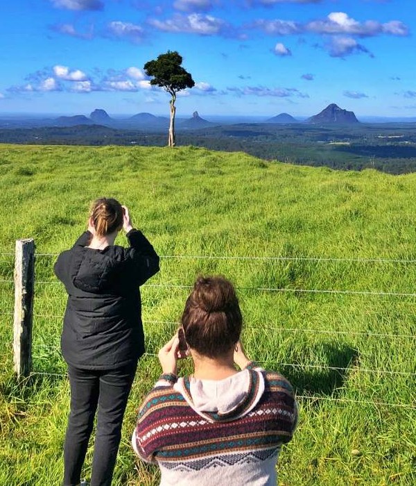 Two individuals taking photographs of a scenic landscape with hills and a solitary tree on their Montville Day Tour. Sunshine Coast Hinterland Highlights Tour: Discover Maleny and Montville