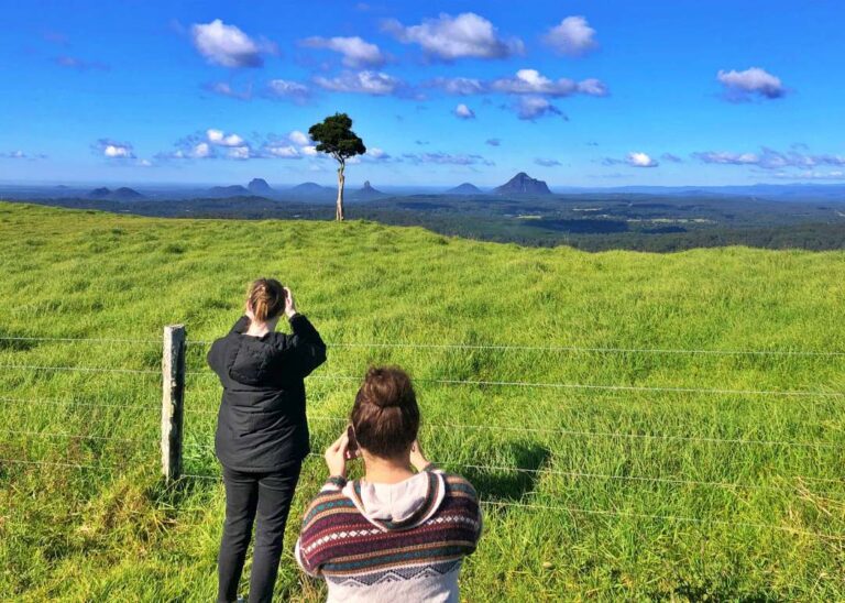 Two individuals photographing a scenic landscape with rolling hills and a lone tree during their Montville Day Tour. Sunshine Coast Hinterland Highlights Tour: Discover Maleny and Montville